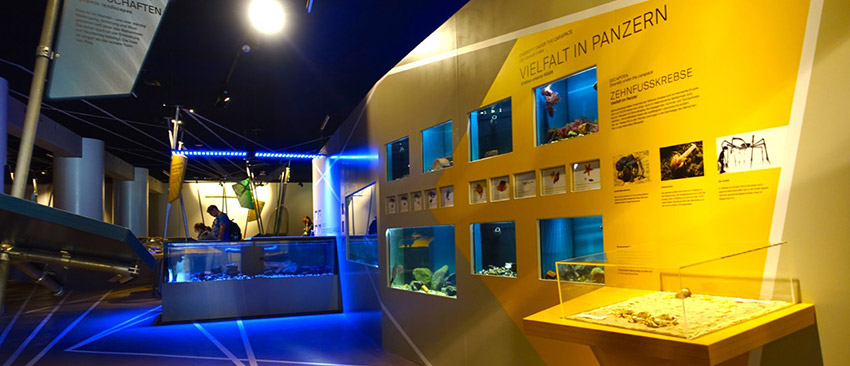 Ausstellung im Wattwelten Besucherzentrum