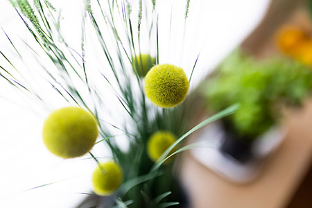 Impressionen Fewo 5, Ferienhaus Coordes