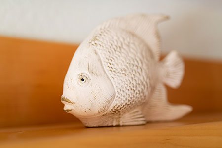 Impressionen Fewo 4, Ferienhaus Coordes