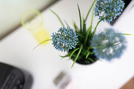 Impressionen Fewo 1, Ferienhaus Coordes