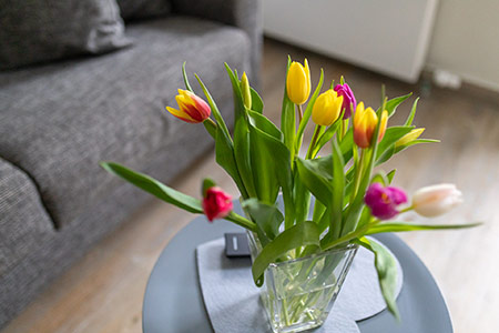 Impressionen Appartement 21, Appartementhaus am Kurpark