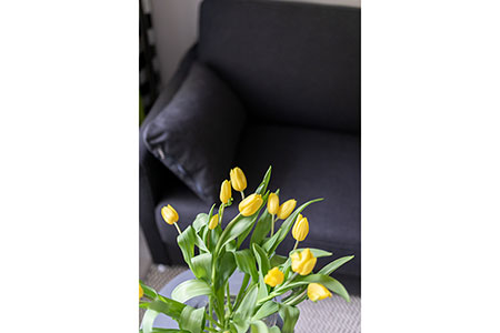 Detail Appartement 22, Appartementhaus am Kurpark